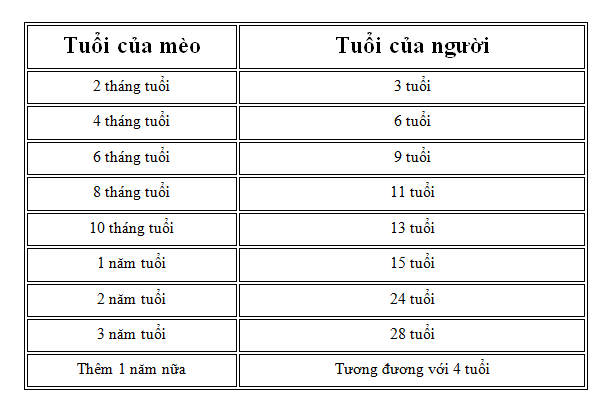 Quy Đổi Tuổi Mèo Sang Tuổi Người